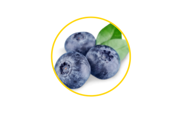Blueberry