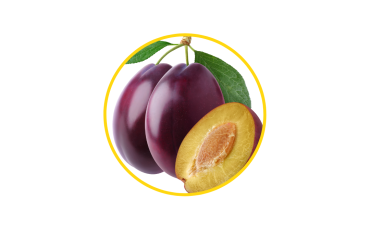 Plum