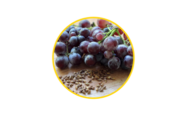 Integrity & Style Tannins +1