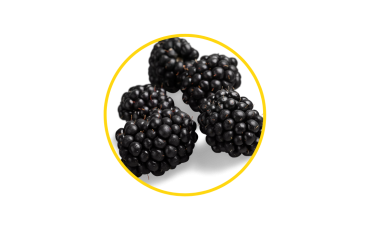 Blackberry